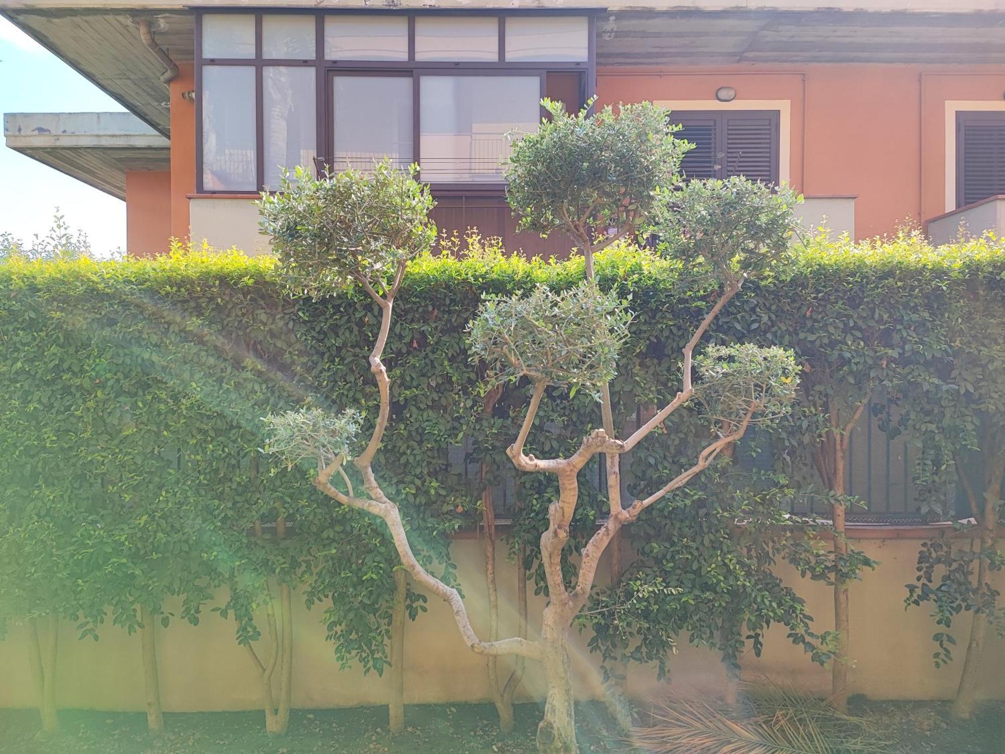 Ferienwohnung Maresole Tra L'Etna E Taormina Mascali Exterior foto