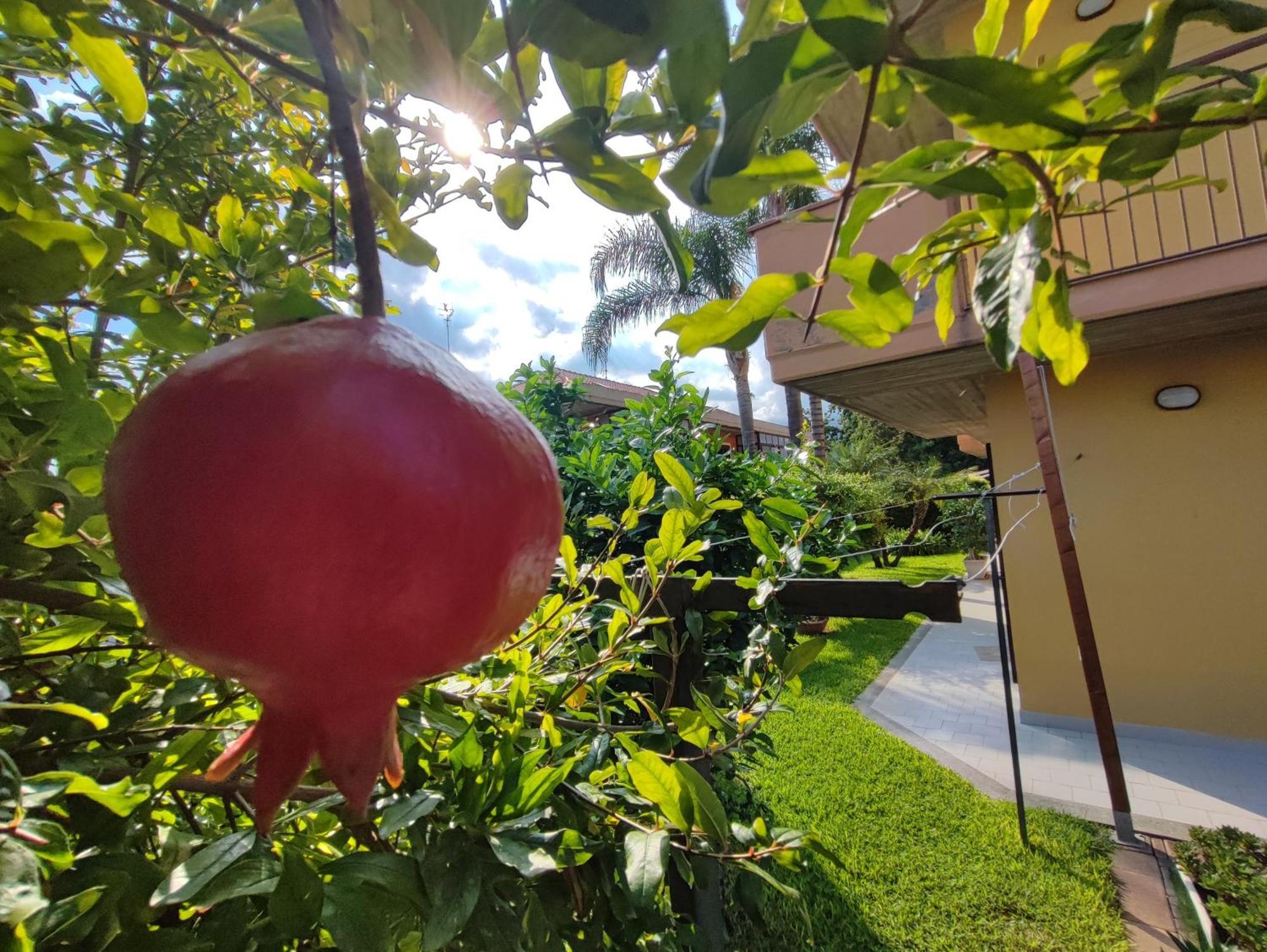 Ferienwohnung Maresole Tra L'Etna E Taormina Mascali Exterior foto